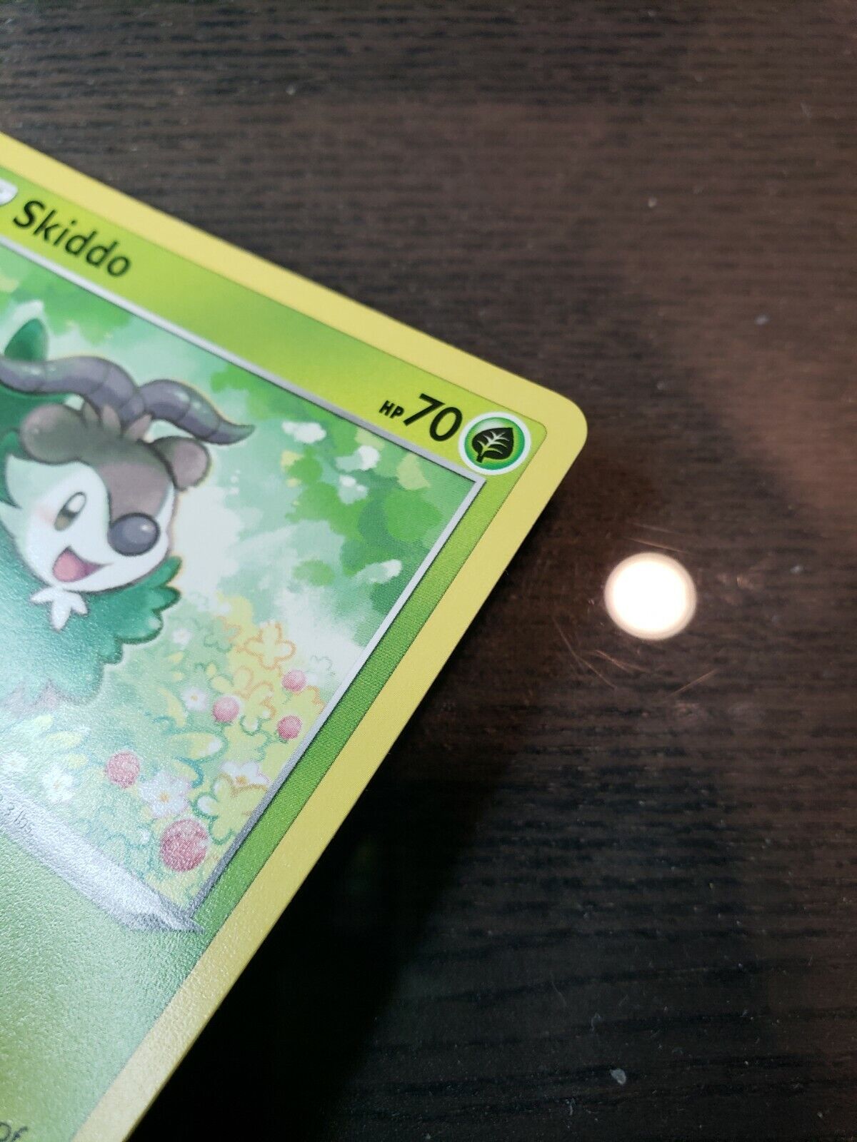 Skiddo 17/185 S&S: Vivid Voltage Regular Common card NM Pokemon TCG 2020