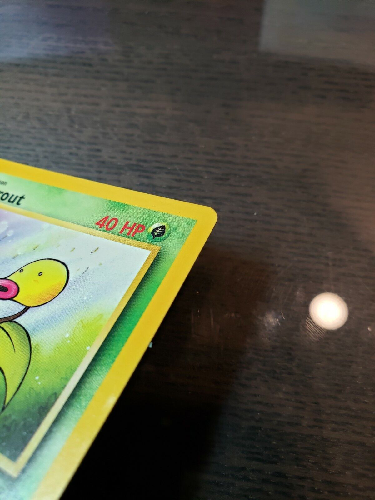 Pokemon TCG Bellsprout 49/64 Jungle Set WOTC Common NM