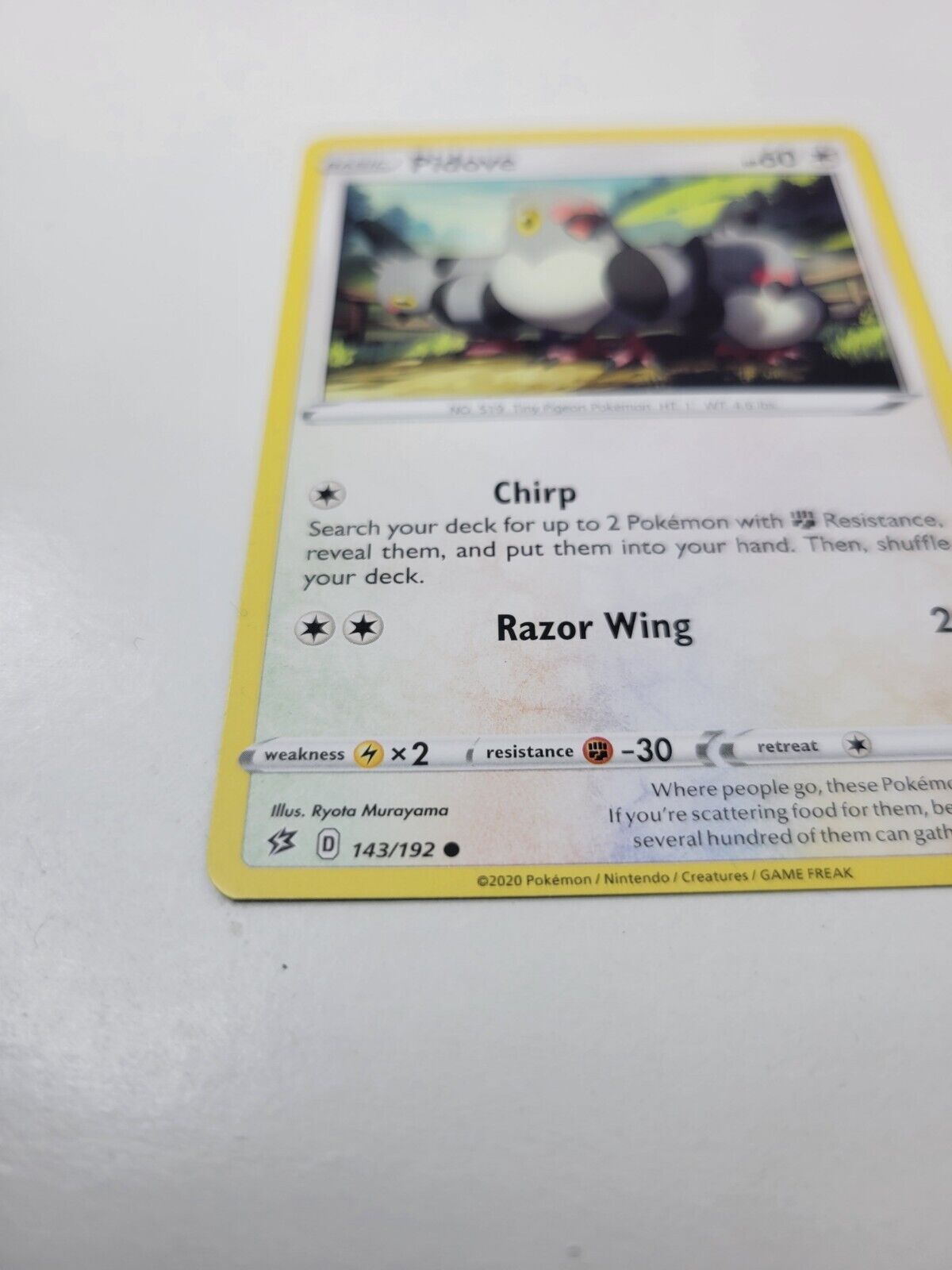 Pokémon TCG Pidove Rebel Clash 143/192 Regular Common Card NM 2020