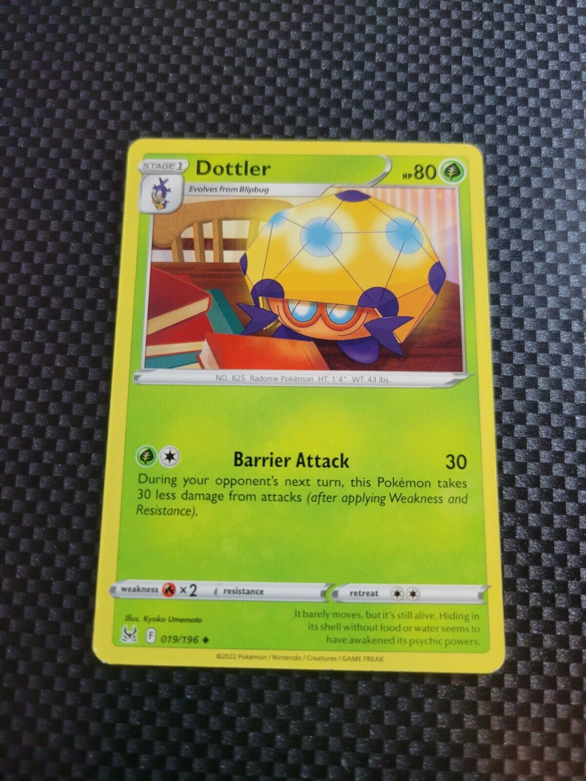 Pokémon TCG Dottler Lost Origin 019/196 Regular Uncommon Card NM 2022