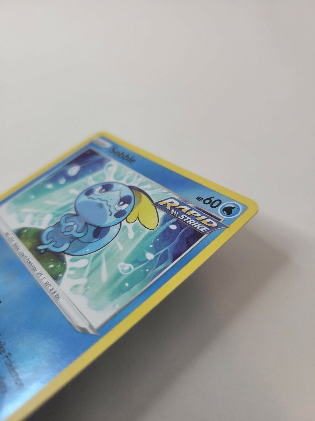 Pokémon TCG Sobble Chilling Reign 041/198 Reverse Holo Common Card NM 2021