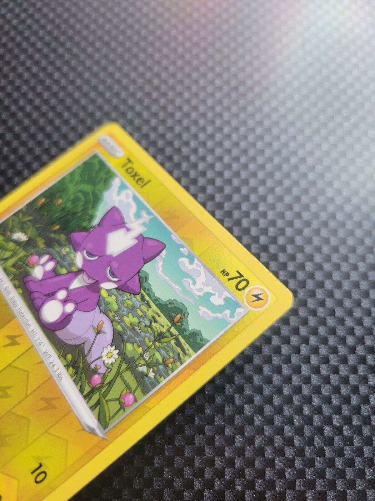 Pokémon TCG Toxel Darkness Ablaze 062/189 Reverse Holo Common Card NM 2020