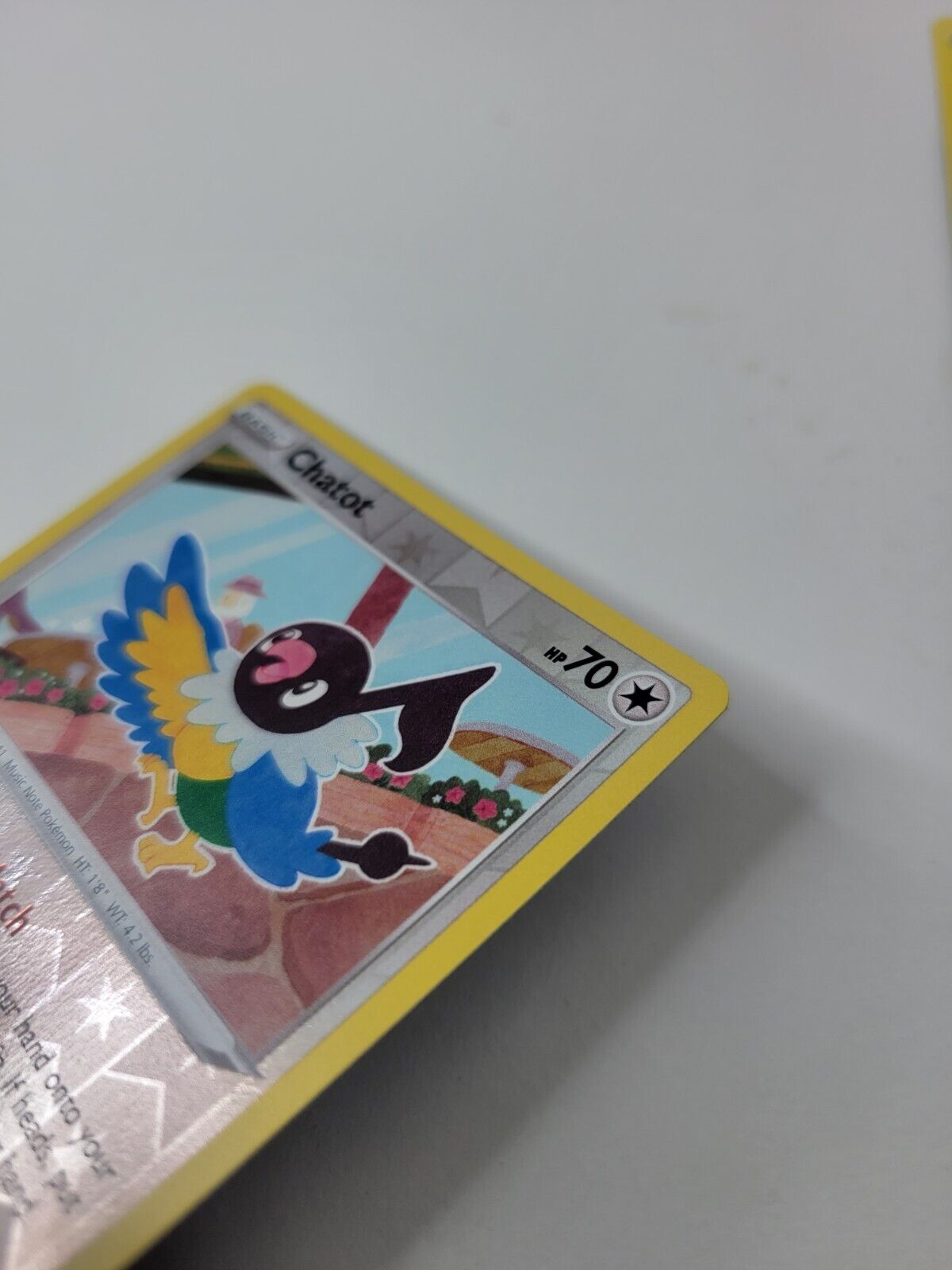 Pokémon TCG Chatot Rebel Clash 142/192 Reverse Holo Uncommon Card NM 2020