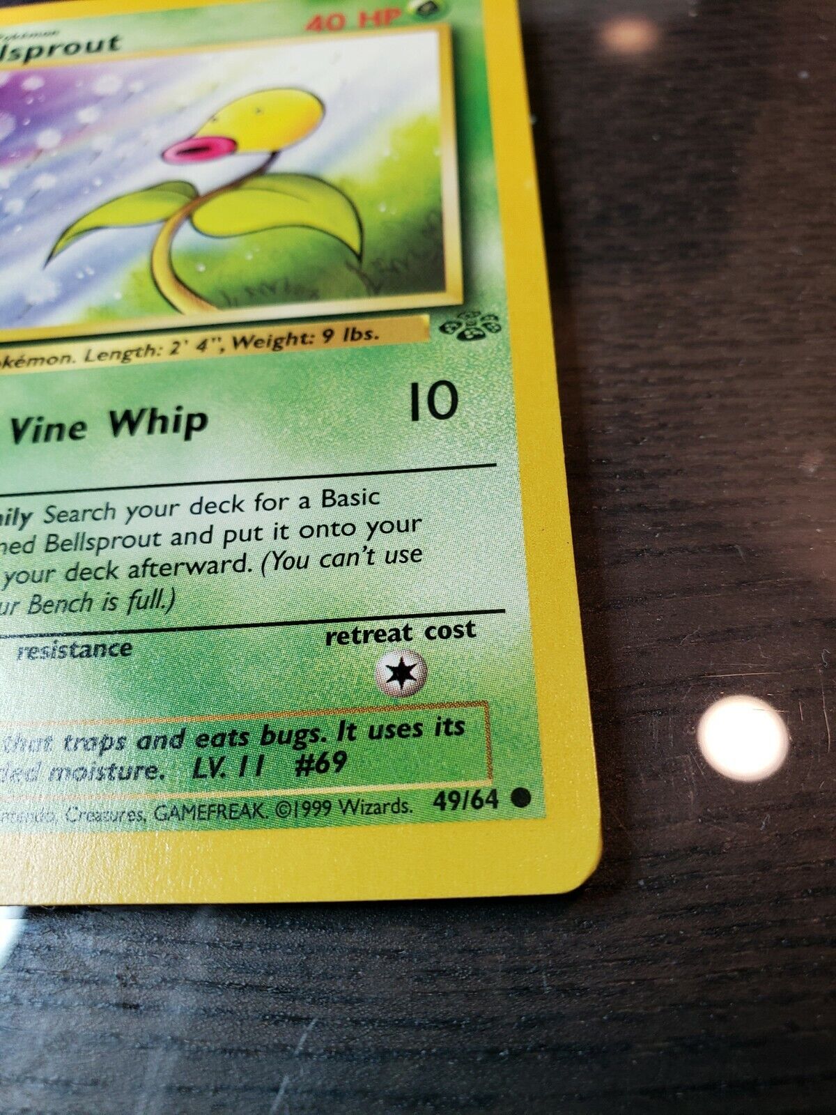 Pokemon TCG Bellsprout 49/64 Jungle Set WOTC Common NM