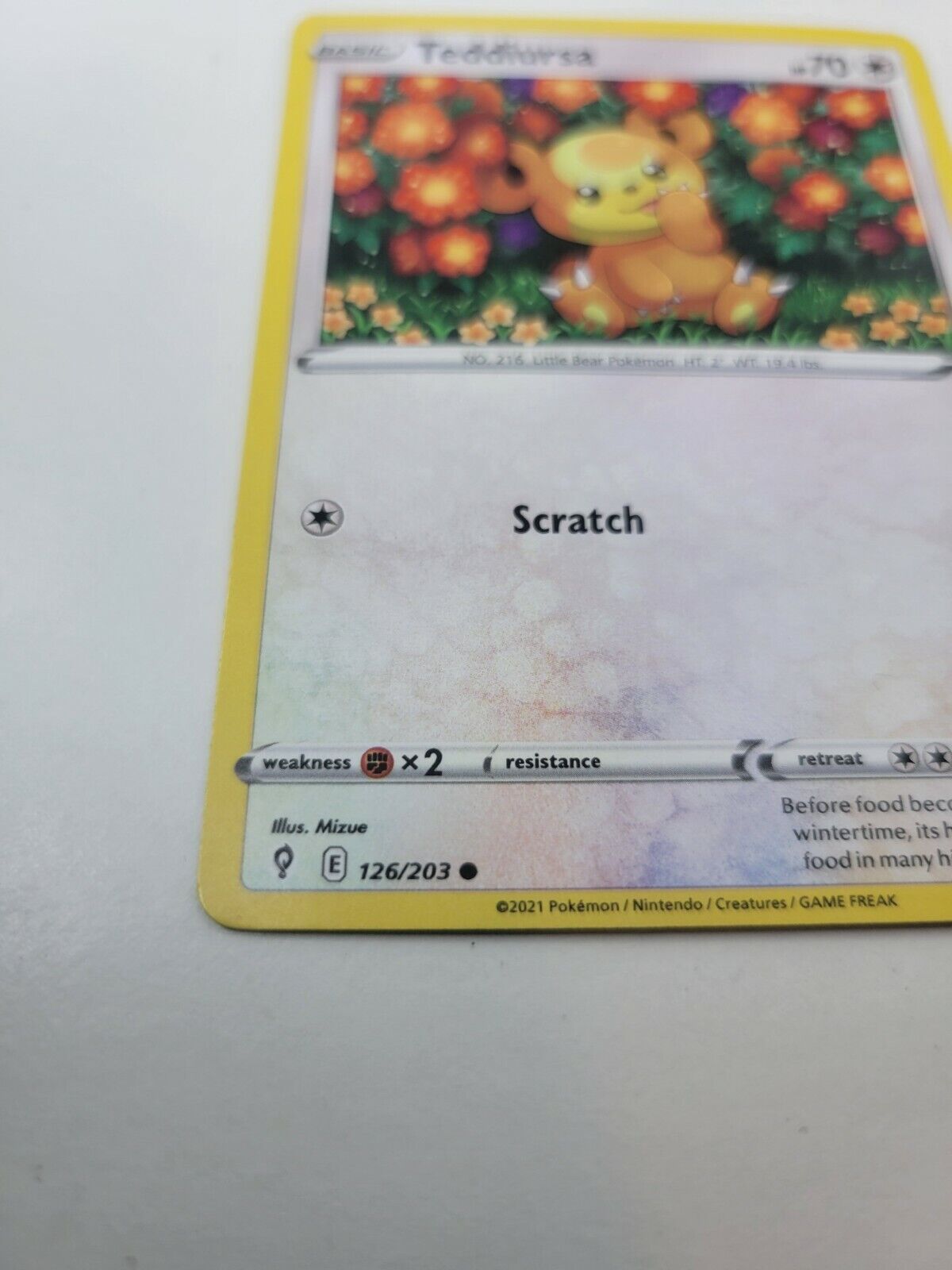Pokémon TCG Teddiursa Evolving Skies 126/203 Regular Common Card NM 2021