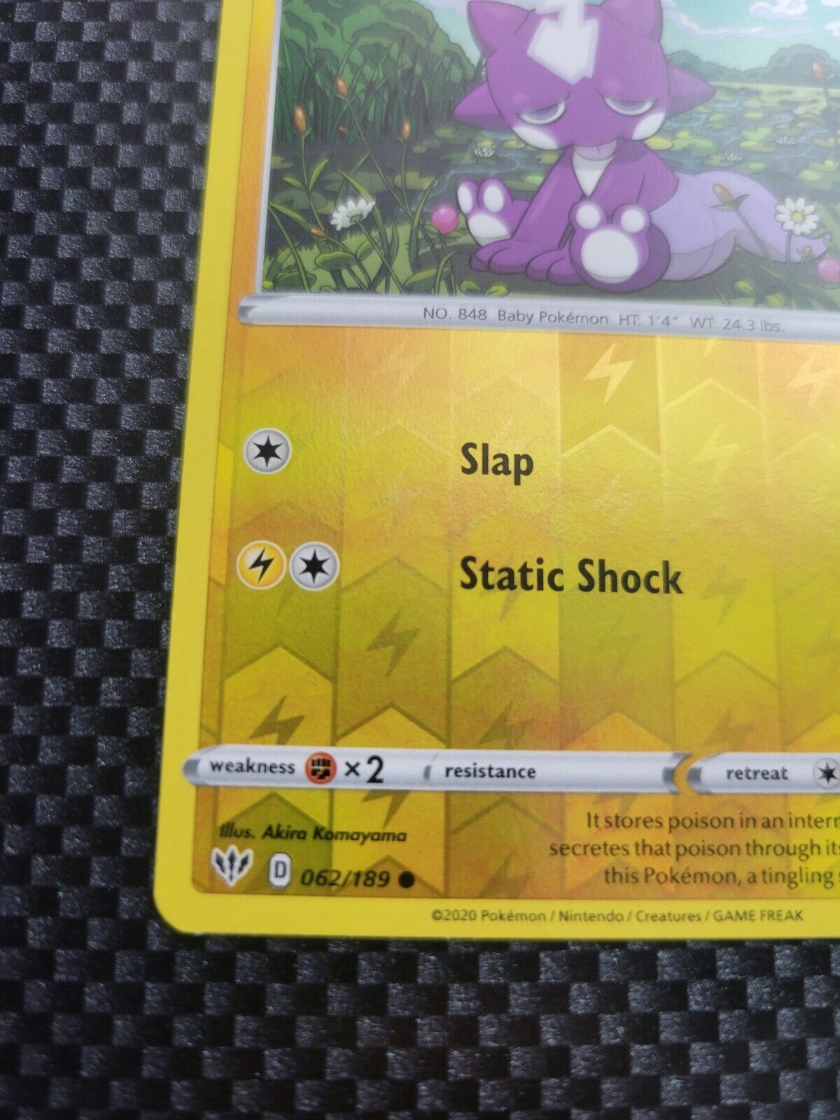 Pokémon TCG Toxel Darkness Ablaze 062/189 Reverse Holo Common Card NM 2020