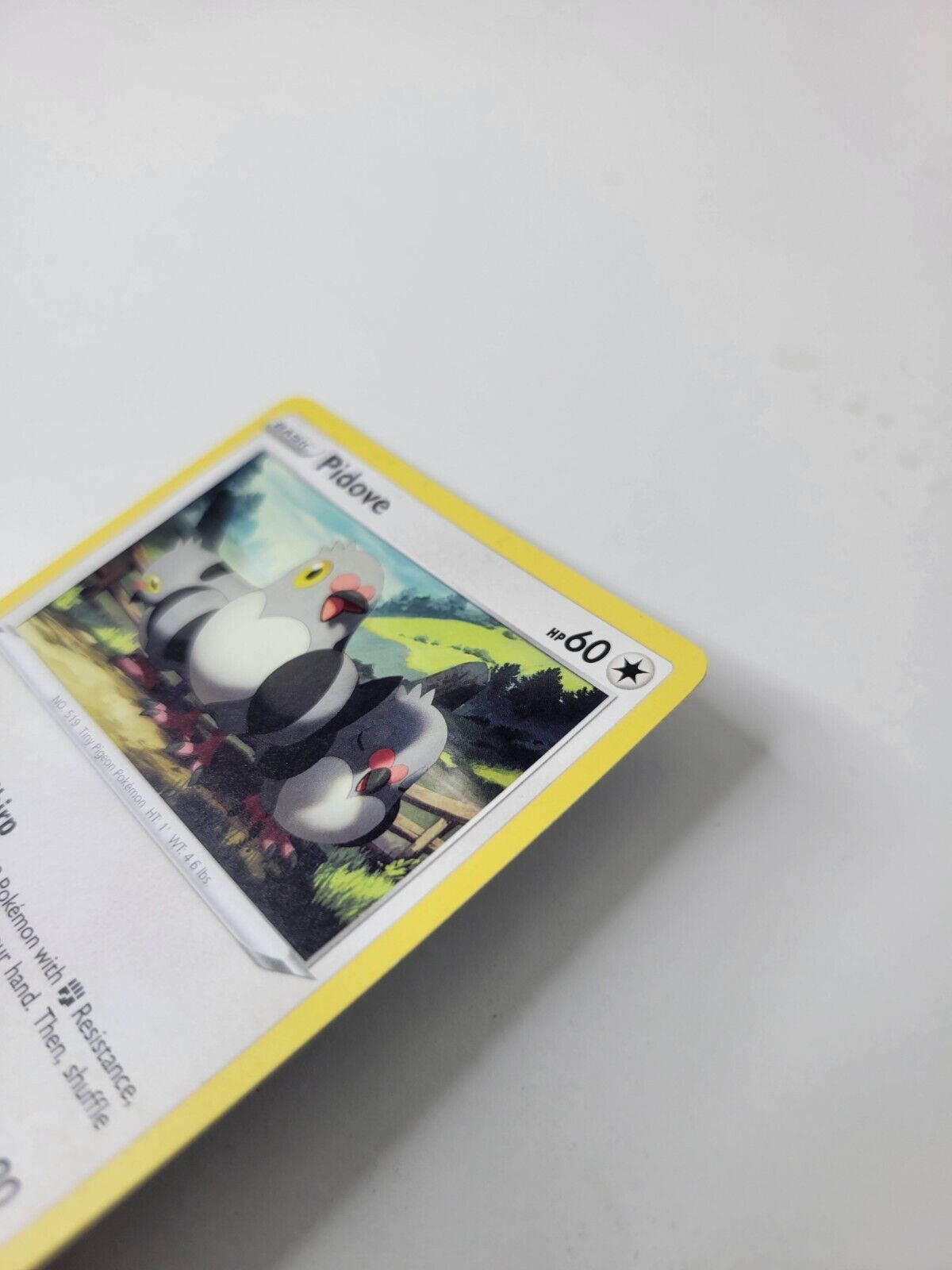 Pokémon TCG Pidove Rebel Clash 143/192 Regular Common Card NM 2020