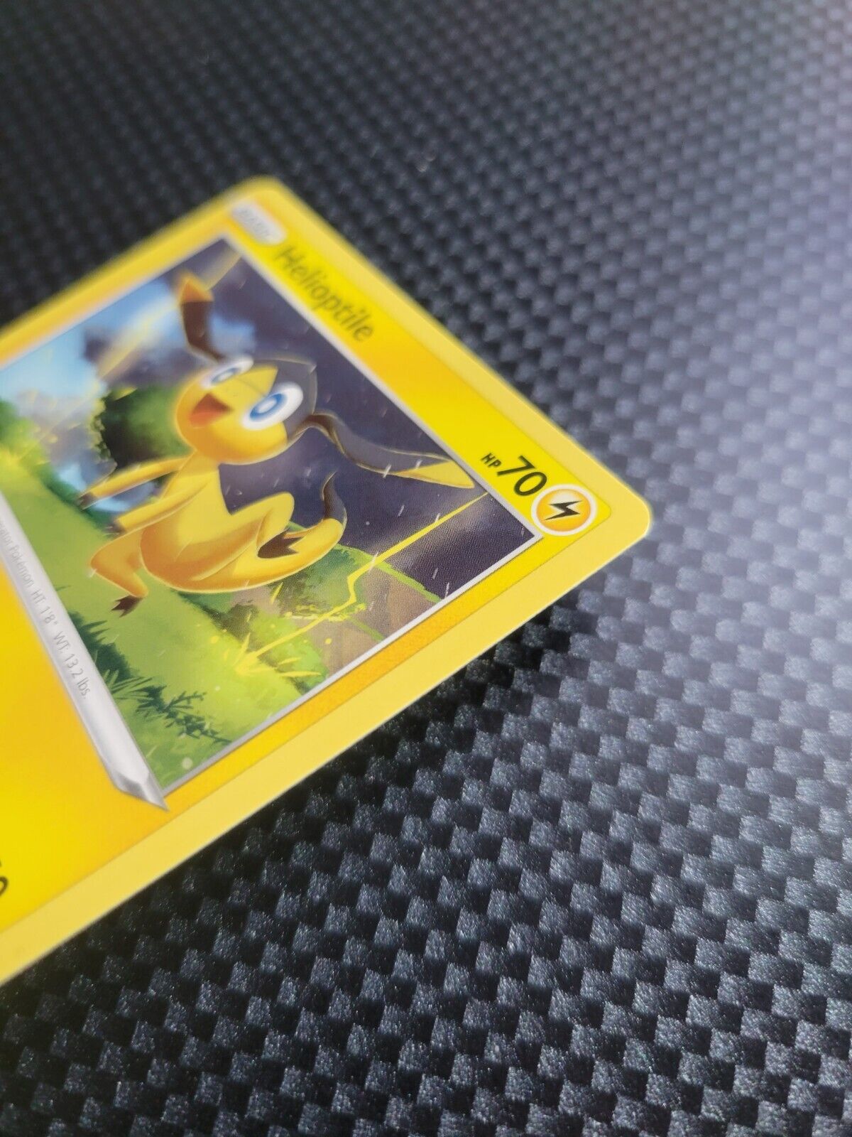 Pokémon TCG Crown Zenith Helioptile 49/159 Regular Common Card NM 2023
