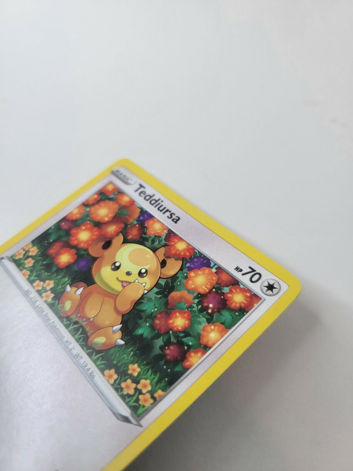 Pokémon TCG Teddiursa Evolving Skies 126/203 Regular Common Card NM 2021