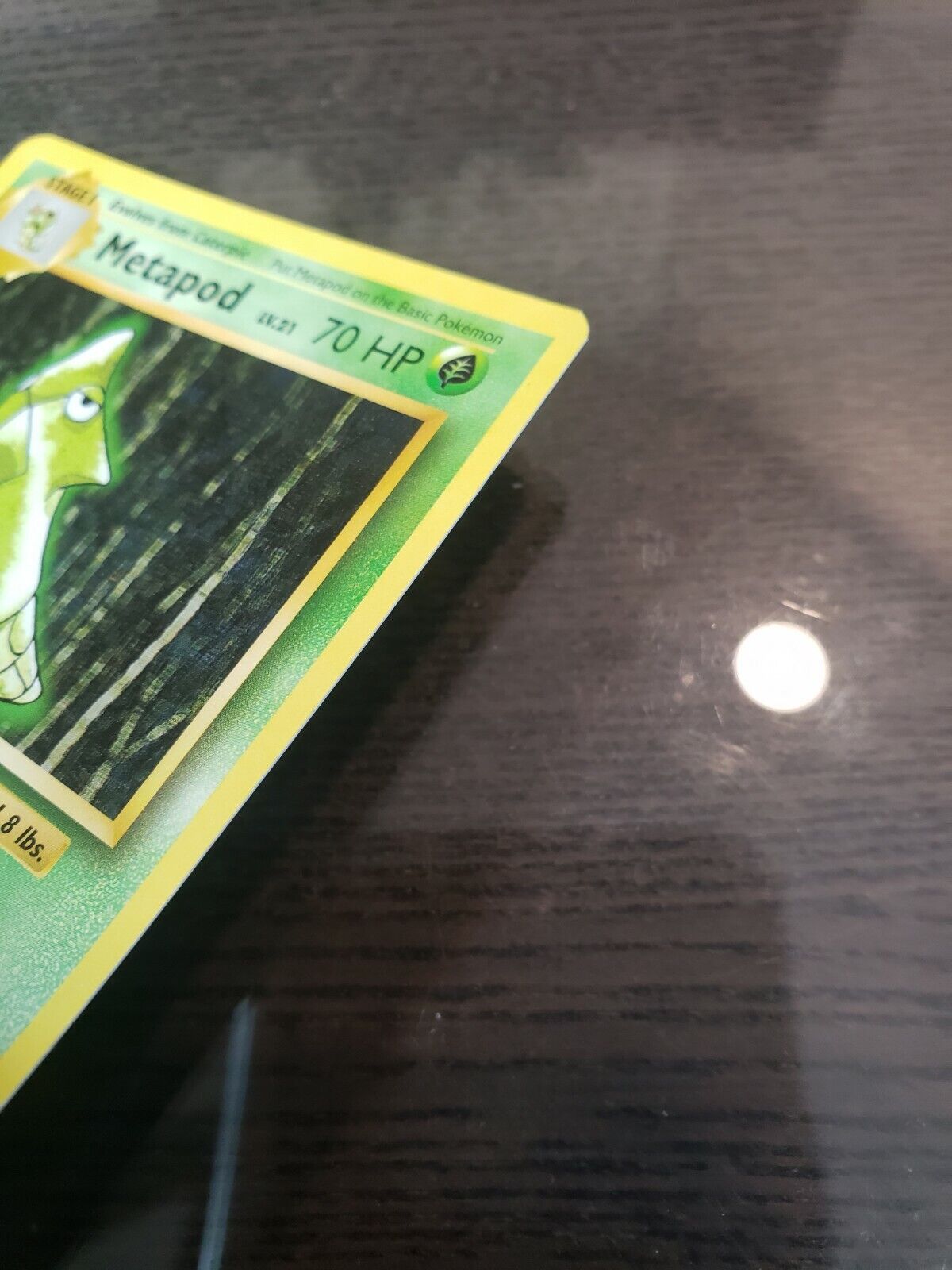 Pokemon TCG Metapod 4/108 XY Evolutions Uncommon (2016) - Near Mint NM