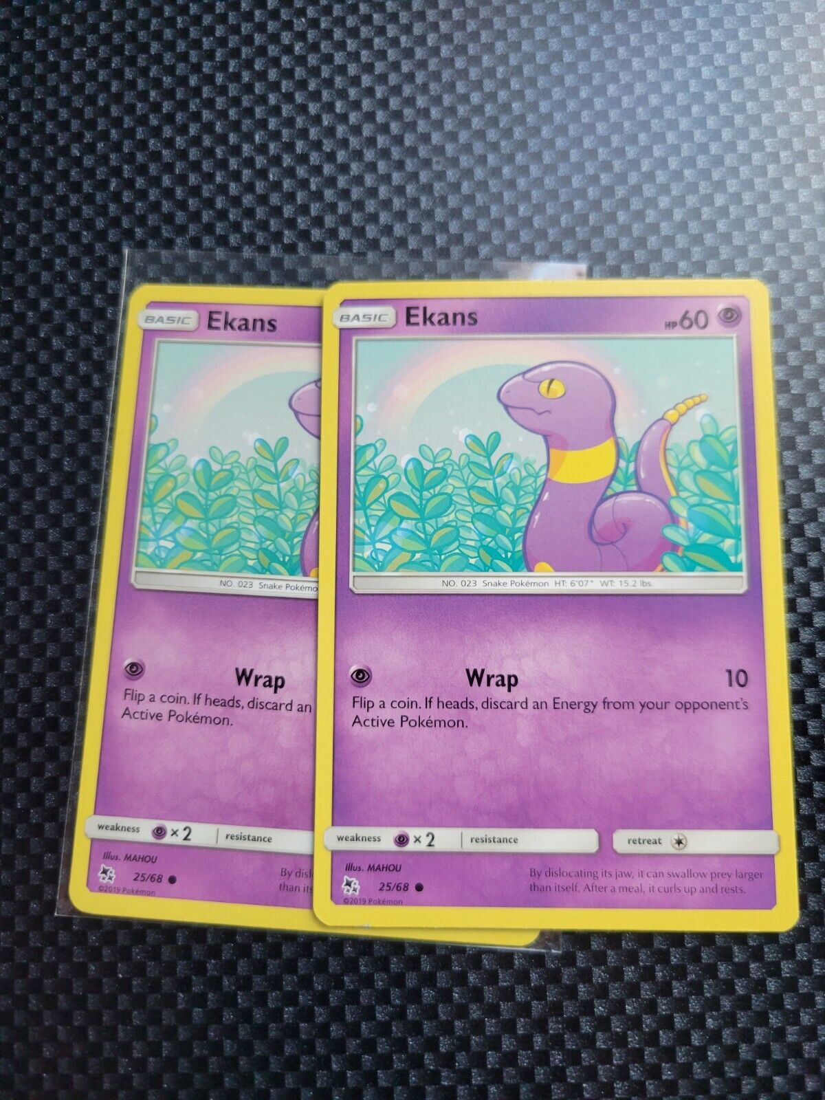 Pokémon TCG Ekans Hidden Fates 25/68 Regular Common Card NM 2019