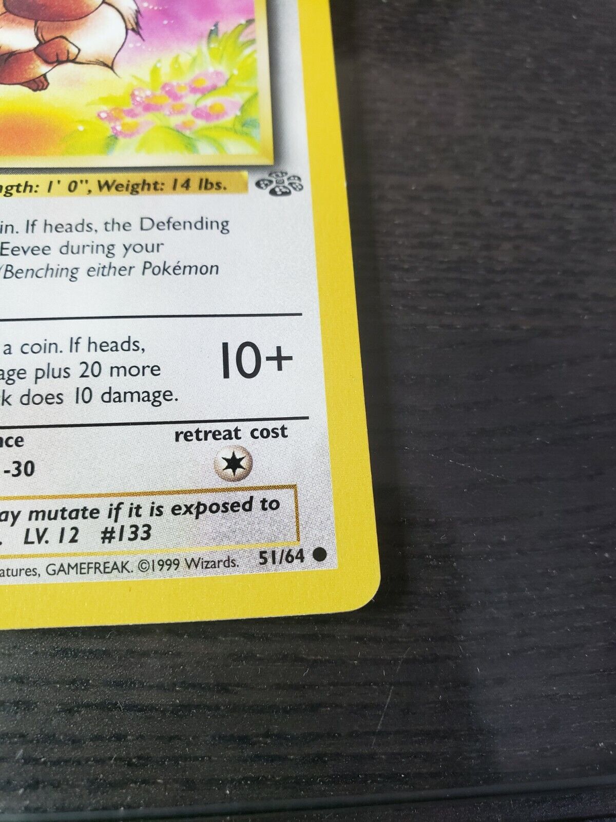 Pokémon TCG Jungle Set Eevee 51/64 Regular Common Card LP WOTC 1999