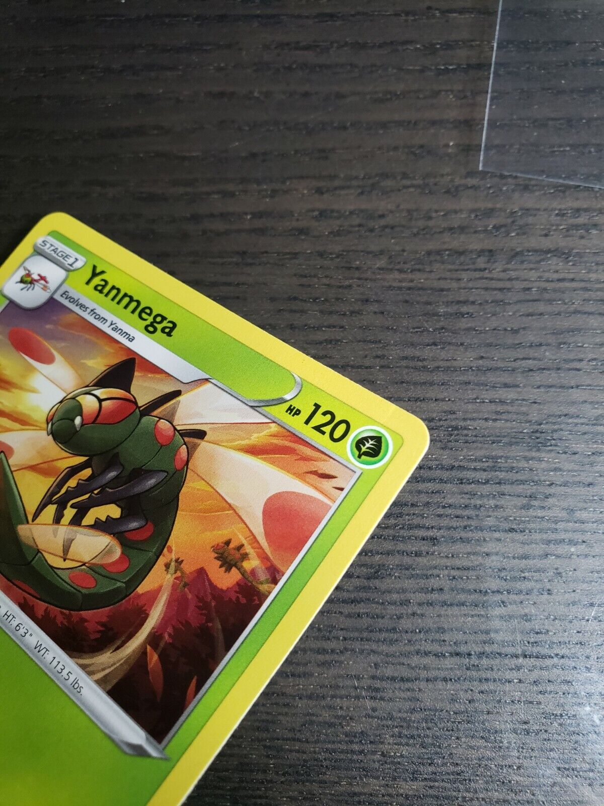 Pokémon TCG Shining Fates Yanmega 2/72 Regular Rare Card NM 2021