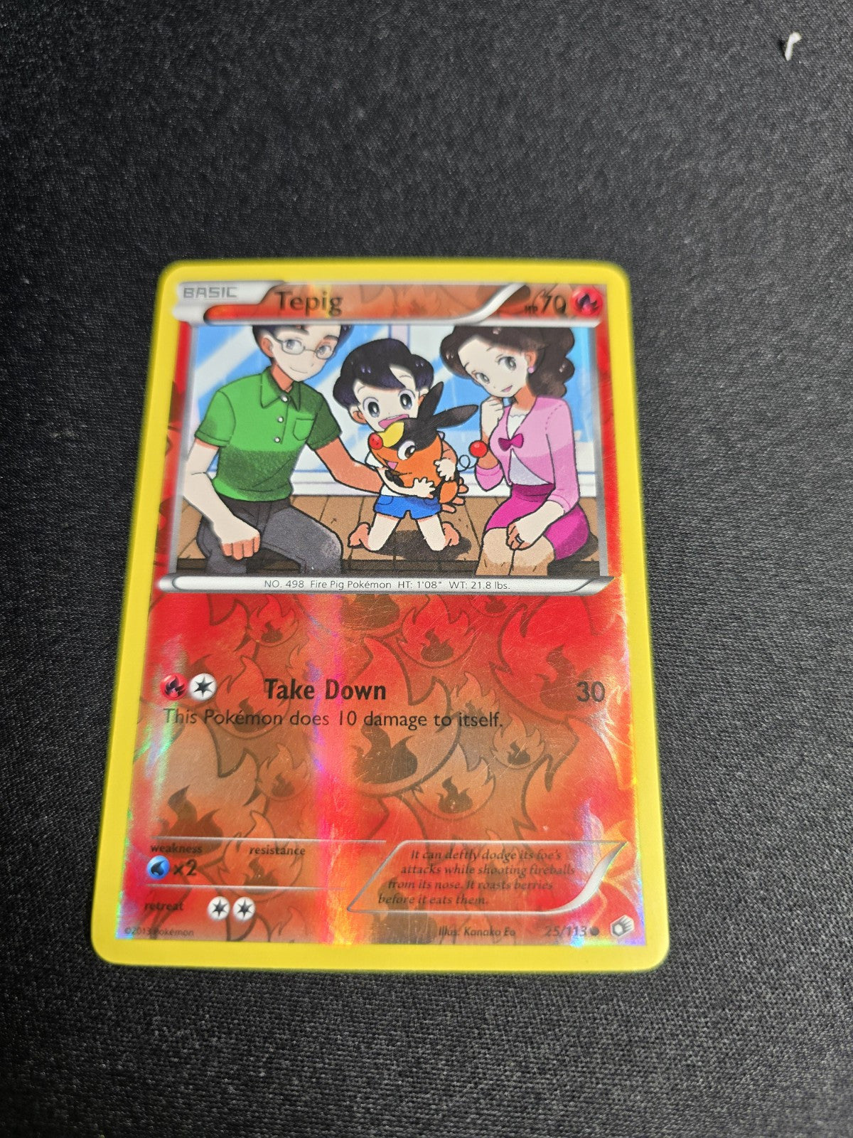 Pokemon TCG Tepig Legendary Treasures 25/113 REVERSE HOLO Common Card NM 2013