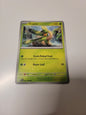 Pokémon TCG Scarlet & Violet Tropius 007/198 Regular Common Card NM 2023