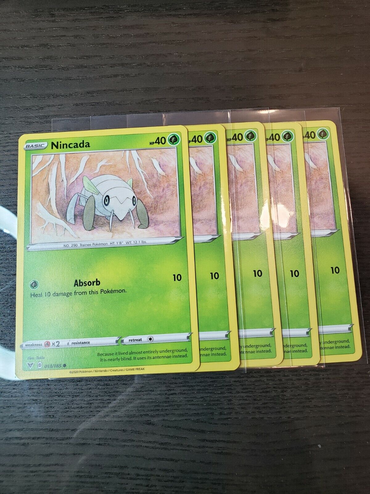 Pokemon TCG Vivid Voltage Nincada Common Card 013/185 NM 2020
