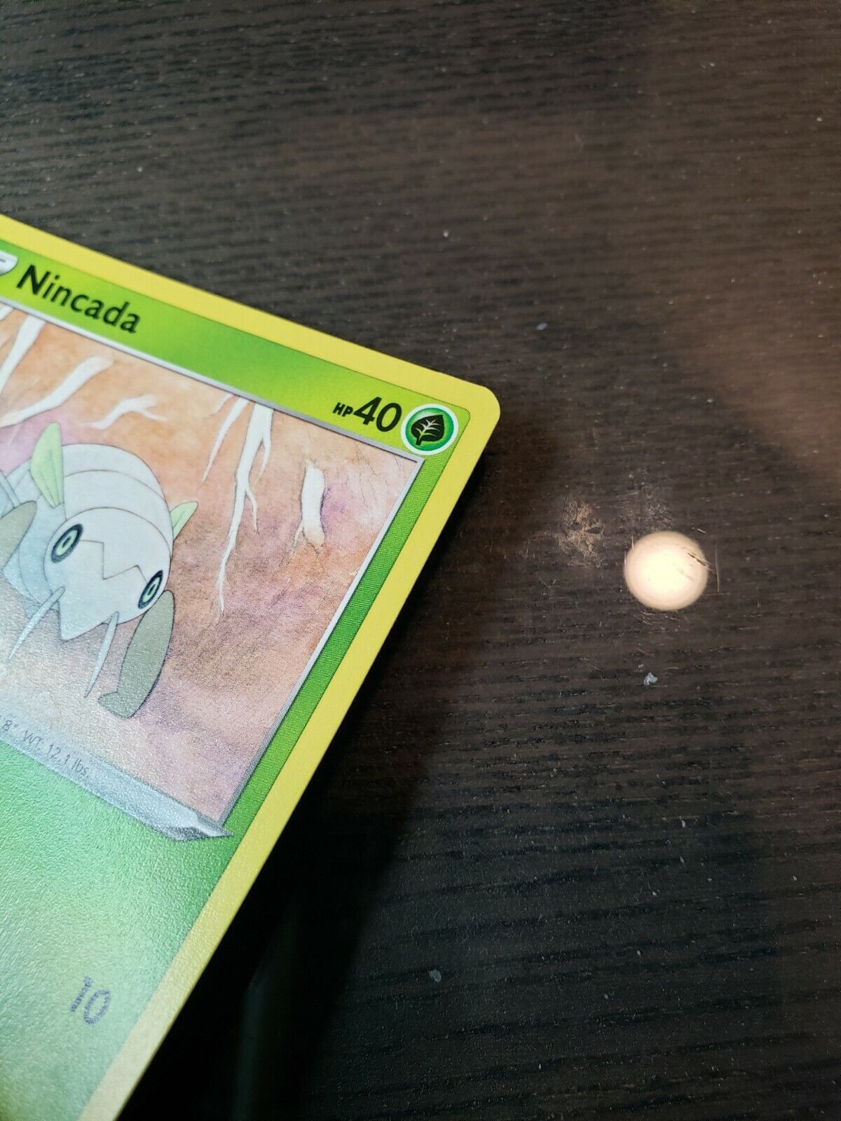 Pokemon TCG Vivid Voltage Nincada Common Card 013/185 NM 2020