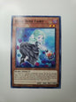 Yu-Gi-Oh! TCG Dark Rose Fairy Legendary Duelists  LDS2-EN107 NM/M 2020